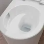Унітаз підвісний HANSGROHE ELU PURE 62025450
