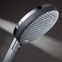 Лейка ручного душу HANSGROHE RAINDANCE ALIVE 24500000