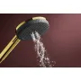 Лейка ручного душу HANSGROHE RAINDANCE ALIVE 24500990, золото