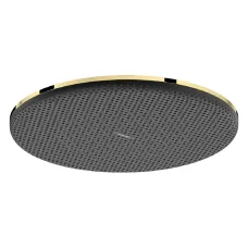 Лейка верхнього душу HANSGROHE RAINDANCE ALIVE 24520990, золото