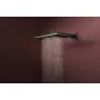 Лійка верхнього душу HANSGROHE RAINDANCE ALIVE 24530340