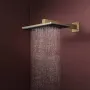 Лейка верхнього душу HANSGROHE RAINDANCE ALIVE 24530140, бронза сатин