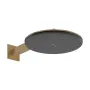 Лейка верхнього душу з кронштейном, 2 режими HANSGROHE RAINDANCE ALIVE 24540140, бронза сатин