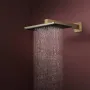 Лейка верхнього душу з кронштейном, 2 режими HANSGROHE RAINDANCE ALIVE 24550140, бронза сатин
