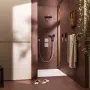 Душовий гарнітур HANSGROHE RAINDANCE ALIVE 24611000