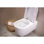 Унітаз підвісний HANSGROHE ELU PURE 60292450