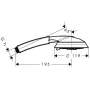 Ручний душ HANSGROHE RAINDANCE CLASSIC 28548000