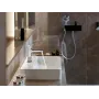 Ручний душ HANSGROHE RAINDANCE SELECT 26530400, хром з білим