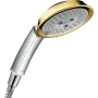 Ручний душ HANSGROHE RAINDANCE CLASSIC 28548090, золото глянсовий