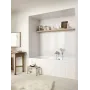 Ручний душ HANSGROHE RAINDANCE CLASSIC 28548090, золото глянсовий