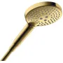Ручний душ 120 3jet AXOR SHOWER SOLUTIONS 26050990, золото