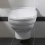 Унітаз підвісний VILLEROY & BOCH HOMMAGE 6661B0R1, білий