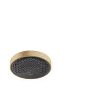 Верхній душ HANSGROHE RAINFINITY 26229140, бронза сатин
