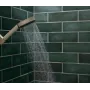Ручний душ HANSGROHE PULSIFY 26077210, бежевий