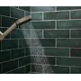 Ручний душ HANSGROHE PULSIFY 26077210, бежевий