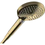 Ручний душ HANSGROHE RAINDANCE SELECT 26014990, золото глянсовий