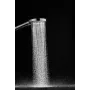 Ручний душ HANSGROHE RAINDANCE SELECT 26014990, золото глянсовий