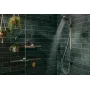 Тримач душа слайдер із кнопкою HANSGROHE WALLSTORIS 28918210, бежевий