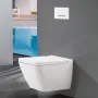Клавіша зливу води VILLEROY & BOCH VICONNECT INSTALLATION SYSTEMS 922160RA, сталь