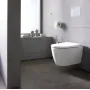 Унітаз підвісний DURAVIT BENTO STARCK BOX 2593099000, 370 x 570 мм, білий матовий