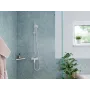 Полиця для ванної кімнати HANSGROHE ADDSTORIS 41741670, чорний