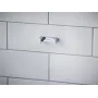 Гачок для ванної кімнати HANSGROHE ADDSTORIS 41755000