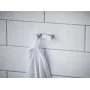 Гачок для ванної кімнати HANSGROHE ADDSTORIS 41755000