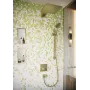 Лійка ручного душу HANSGROHE RAINDANCE, бронза сатин