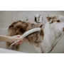 Ручний душ HANSGROHE DOGSHOWER 26640670, чорний матовий