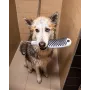 Ручний душ HANSGROHE DOGSHOWER 26640700, білий матовий