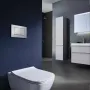 Змивна клавіша GEBERIT DELTA30 115.137.46.1