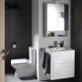 Унітаз підлоговий безободковий GEBERIT SELNOVA SQUARE 500.489.01.7
