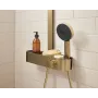 Лійка ручного душу HANSGROHE PULSIFY 24110140, бронзовий