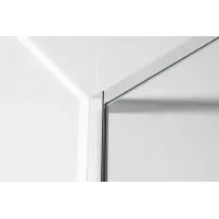 Душова стінка Walk-In IMPRESE 100x200 s09110001TR