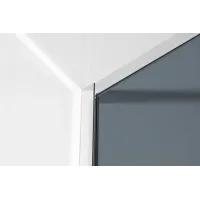 Душова стінка Walk-In IMPRESE 110x200 s09111001GR