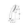 Ручний душ GROHE TEMPESTA 27923003