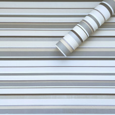 Самоклеюча плівка 0,45х10м х 0,07мм Світло-сталева SW-00001209