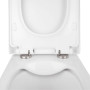 Готове рішення Qtap для ванної кімнати: підвісний унітаз Tern Rimless 490x340x350 + комплект інсталяції Nest 4 в 1 (квадратна клавіша Satin)